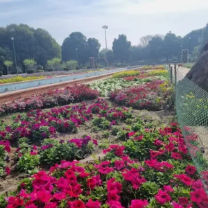 unnamed - 2025-09-02T131615.420