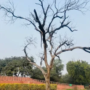 unnamed - 2025-09-02T131622.937