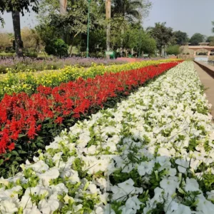 unnamed - 2025-09-02T131630.443