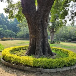 unnamed - 2025-09-02T131642.138