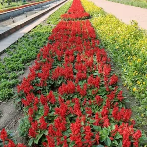 unnamed - 2025-09-02T131648.513