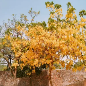 unnamed - 2025-09-02T131835.103