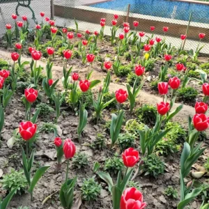 unnamed - 2025-09-02T131858.226